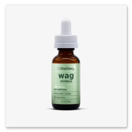CBD Oil for Pet Wellness