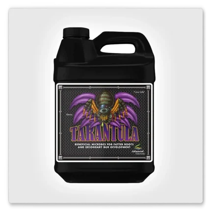 Tarantula