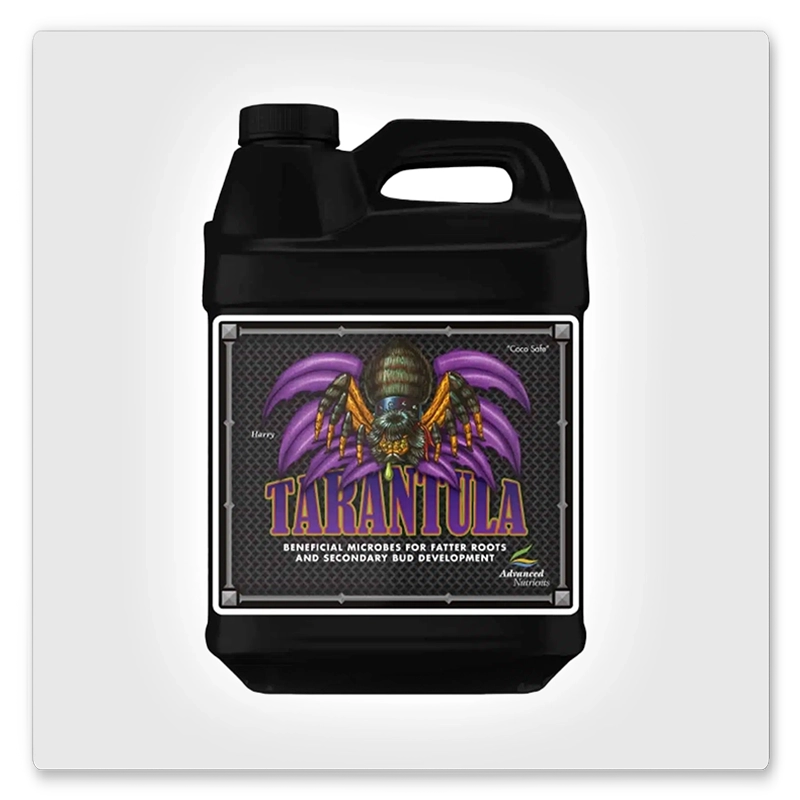 Tarantula