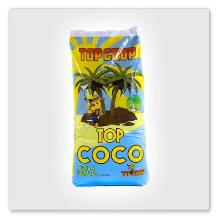 Top Crop Top Coco