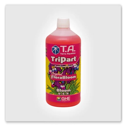 Tripart Bloom
